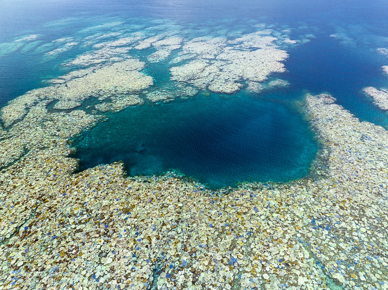 Aerial view of bleaching