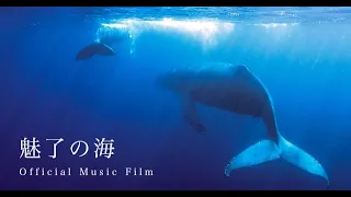 [4K] 魅了の海 | The Enchanted Sea (Official PV) - Cut 1