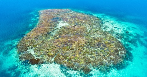 2-2. 空中からの浅い海 「空中探検」