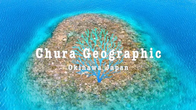 Drone Footage of Coral Reef