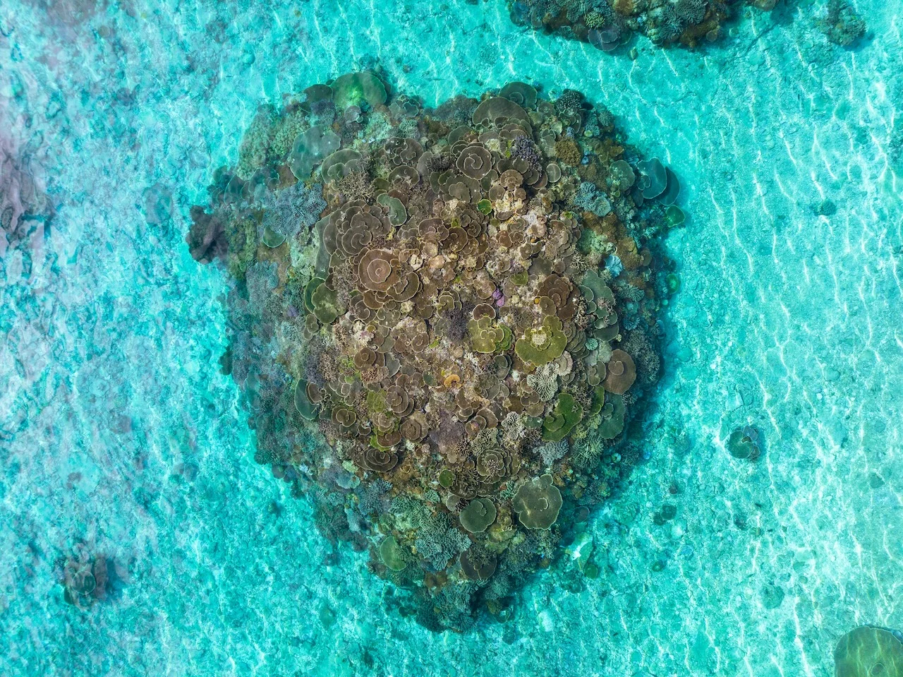 Aerial view of patch reef