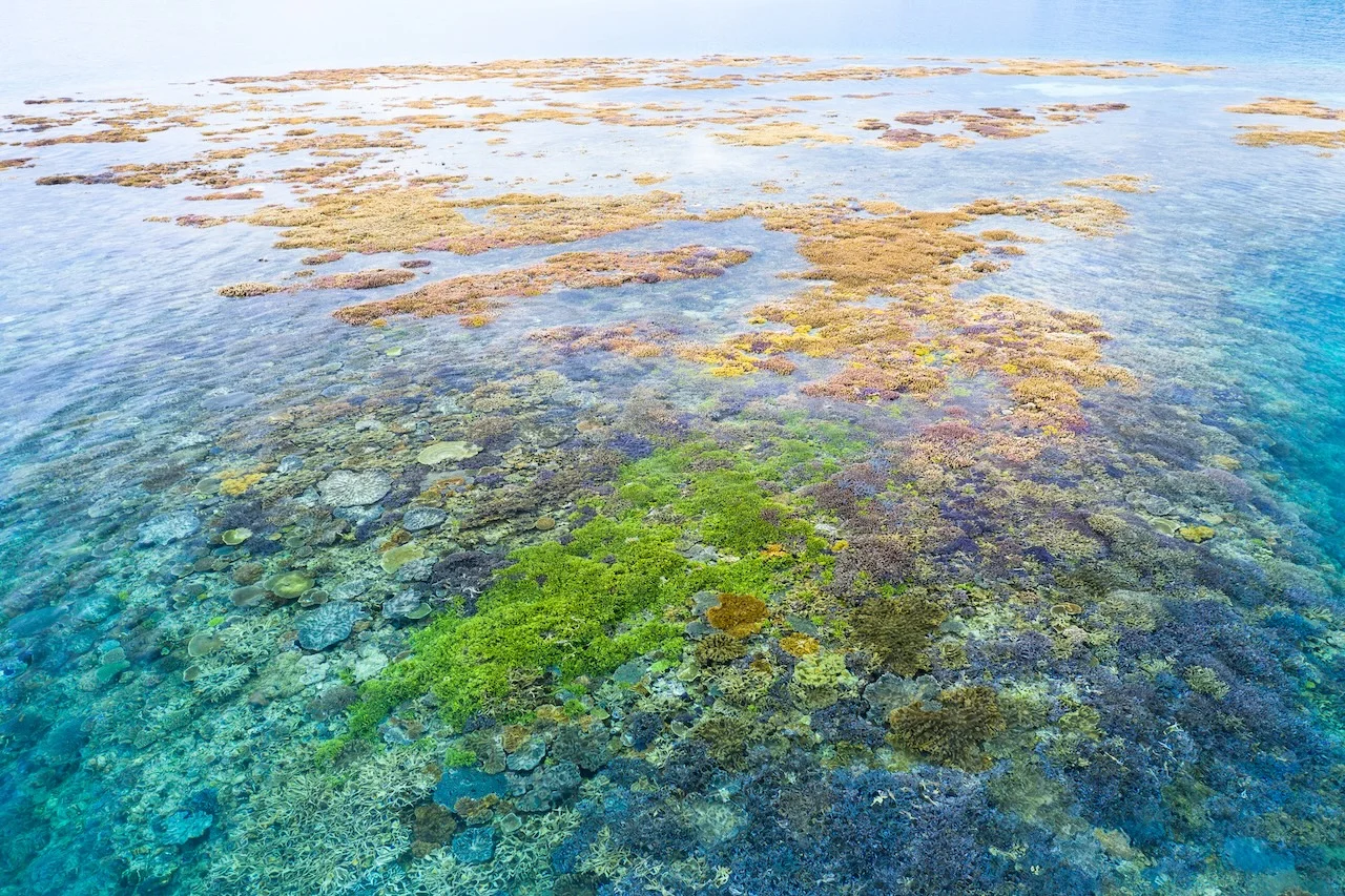 Aerial view of reef path